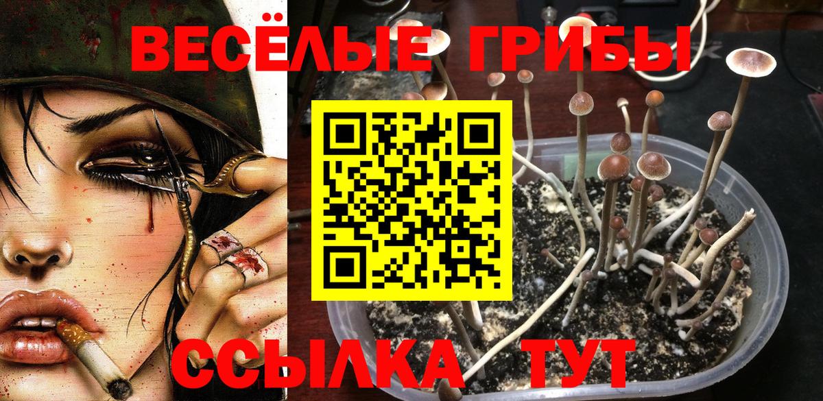 Белово  Галлюциногенные грибы Cubensis  Вход с VPN  купить  сайты  Галлюциногенные грибы мицелий 